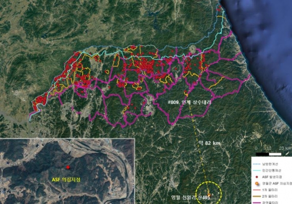 ASF 멧돼지 폐사체가 발견된 영월지역은 광역울타리로부터 62km 떨어진 지역이다.