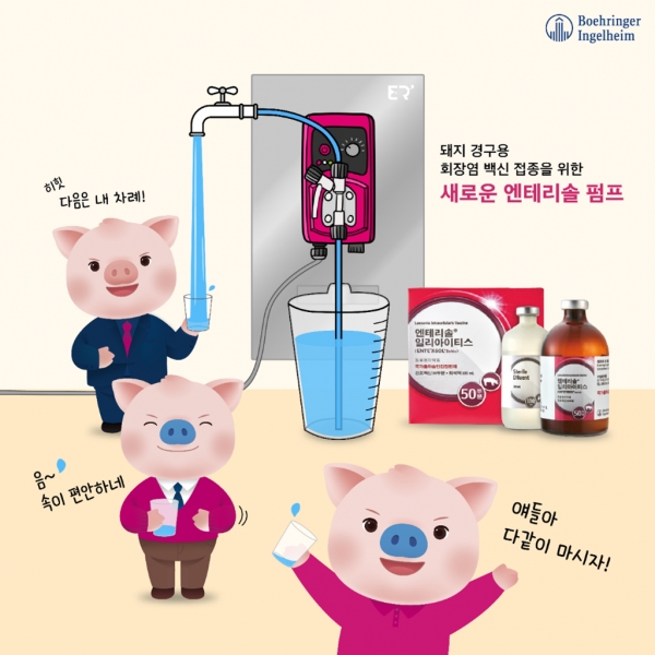 한국베링거인겔하임동물약품㈜이 돼지 경구용 회장염 백신 접종을 위한 '엔테리솔 펌프'를 출시했다